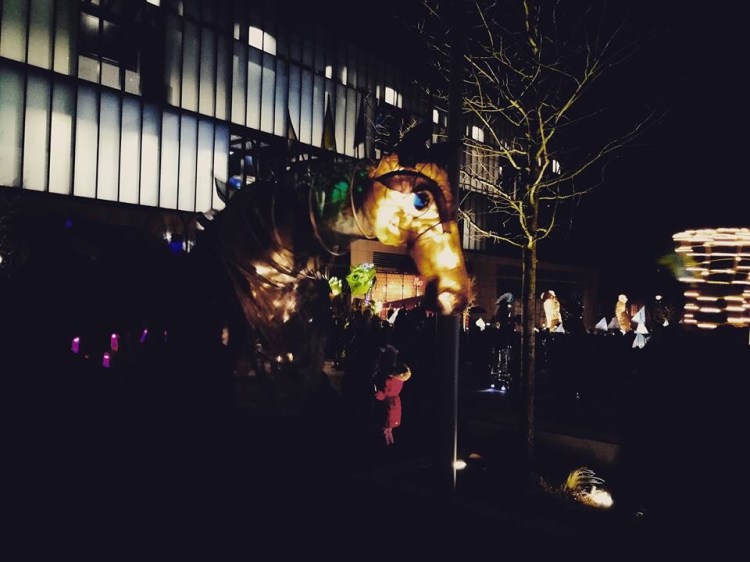 Horse illuminate festival 