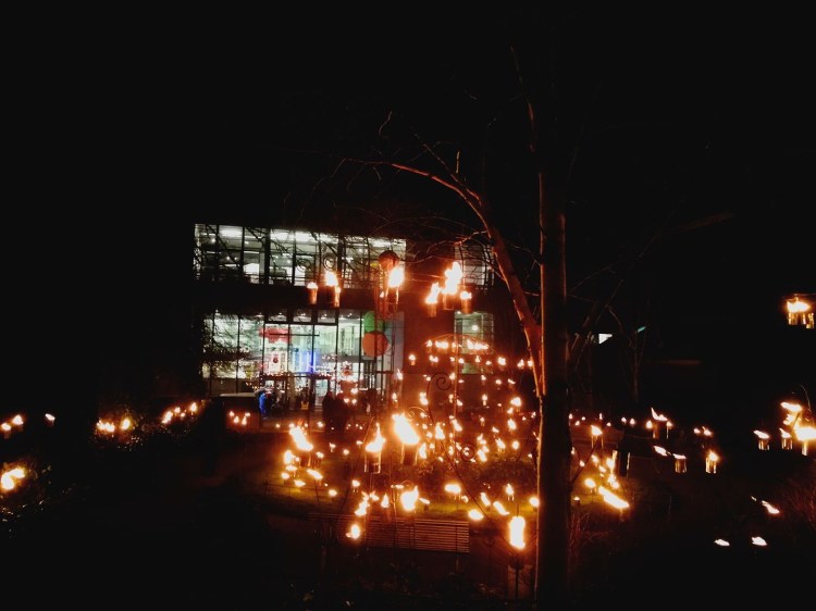 Fire illuminate festival 